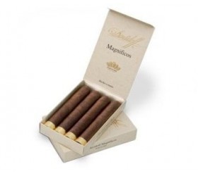 Trabucuri Davidoff Puro d Oro Magnificos 4