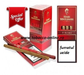 Tigari de foi Henri Wintermans Slims 50