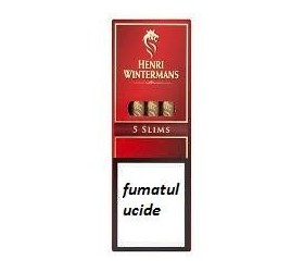 Tigari de foi Henri Wintermans Slims 50