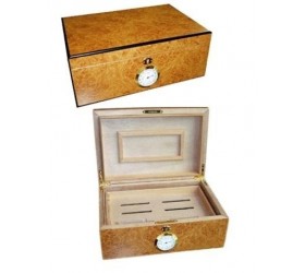 Humidor trabucuri Audacto 50