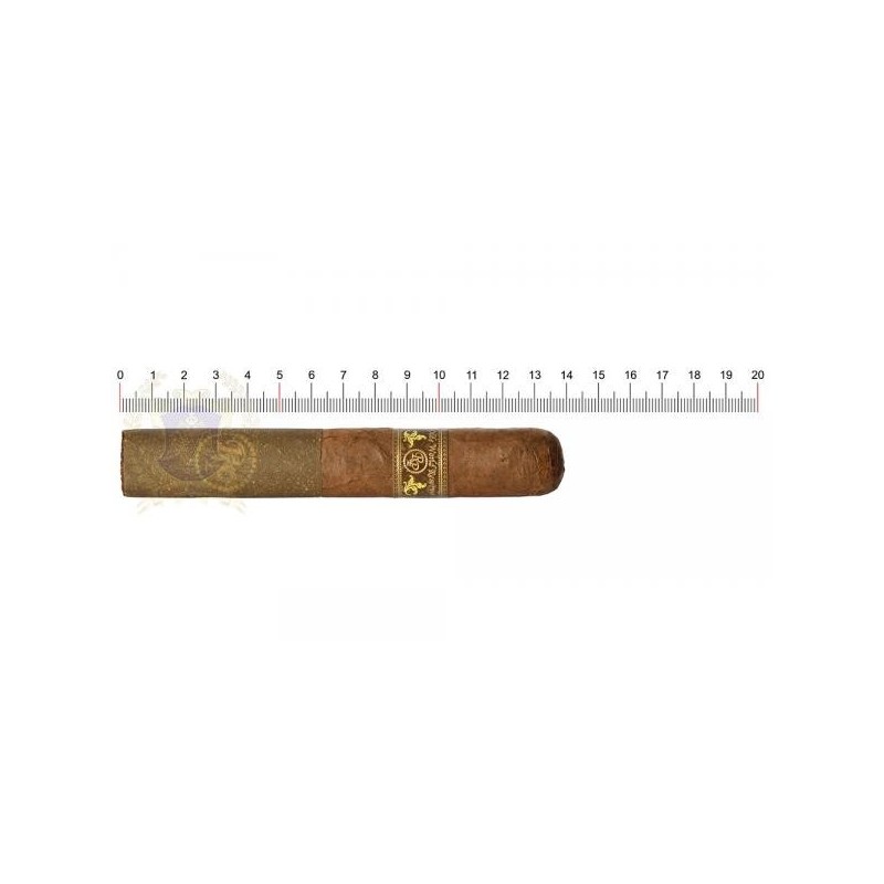 Trabucuri Rocky Patel Olde World Reserve Robusto Corojo 20