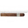 Trabucuri Rocky Patel Platinum Toro 20