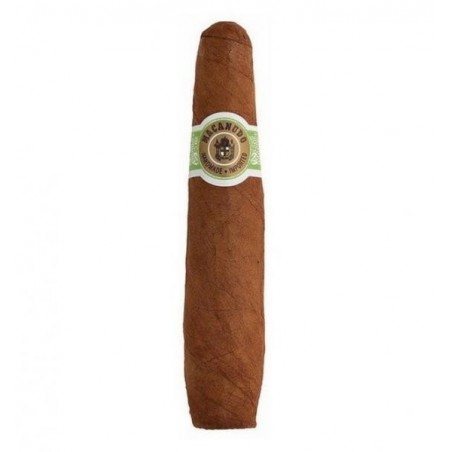 Trabucuri Macanudo Cafe Diplomat 10