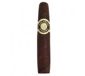 Trabucuri Macanudo Maduro Diplomat 10