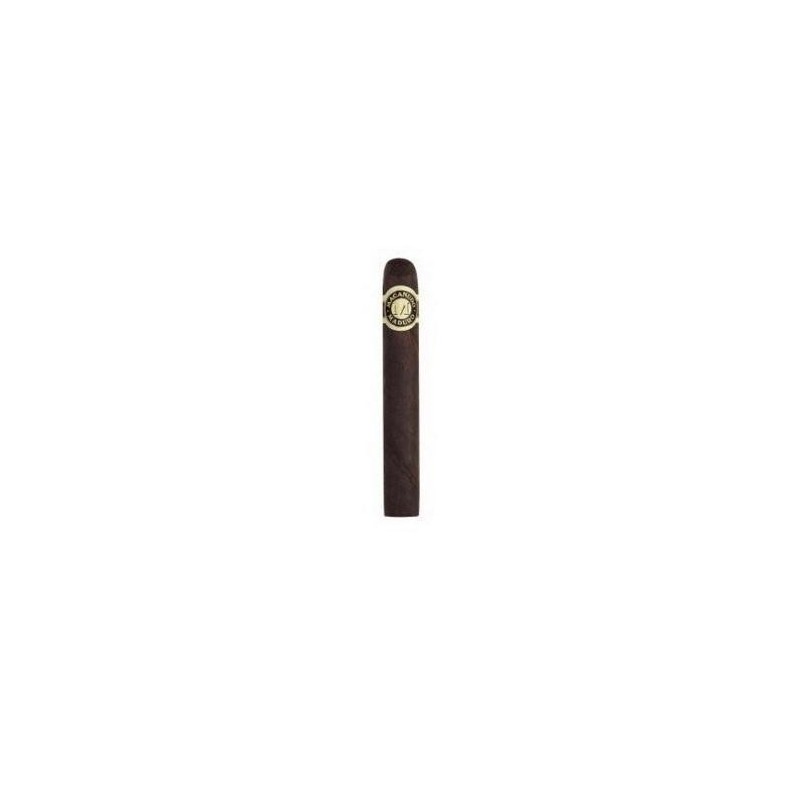 Trabucuri Macanudo Maduro Hyde Park 10