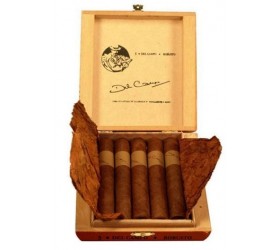 Trabucuri Del Campo Robusto 5