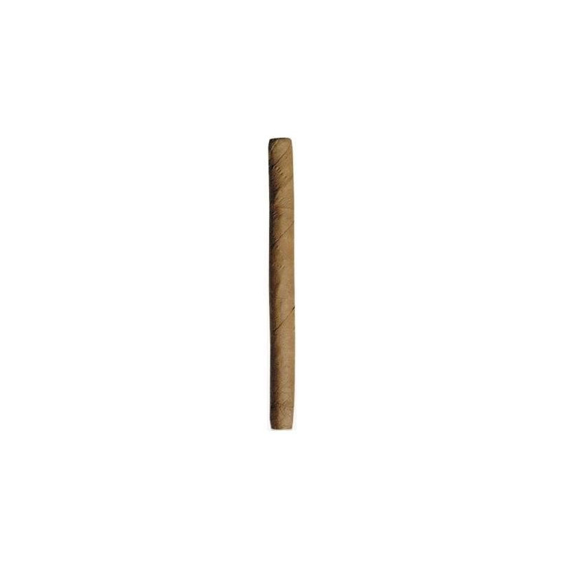 Tigari de foi Partagas Serie Mini 10