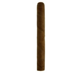 Trabucuri Cusano Bundle Lonsdale 4