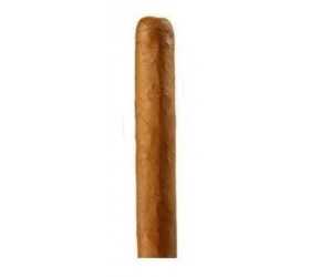Trabucuri Cusano Bundle Petit Panetela 4
