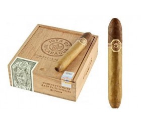 Trabucuri Joya De Nicaragua Cabinetta No 60 Perfecto Gordo 12