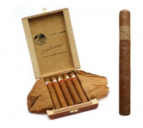 Trabucuri Del Campo Churchill 5