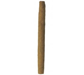 Tigari de foi Zino Mini Cigarillos Sumatra Export 20