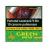 Tigari de foi Villiger Green Mini Filter 10