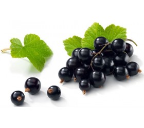 Pietre narghilea Sophies Black Currant Magic 100 g