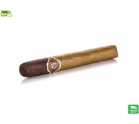 Trabucuri Joya De Nicaragua Cabinetta Serie No 7 Toro 20