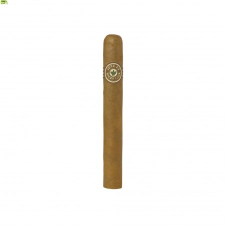 Trabucuri Joya de Nicaragua Clasico Toro 10