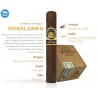 Trabucuri Joya de Nicaragua Rosalones 552 Robusto Grande 20