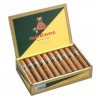Trabucuri Montecristo Open Master 20
