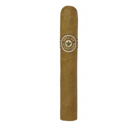 Trabucuri Joya de Nicaragua Clasico Robusto 10
