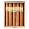 Trabucuri Insidious by Asylum Short Corona 44x4 Honduras 25