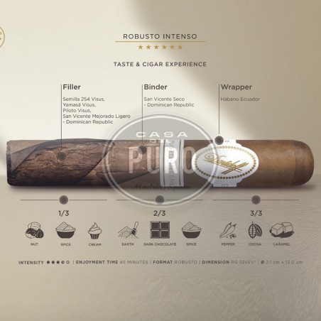 Trabucuri Davidoff Robusto Intenso Limited Edition 10