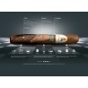 Trabucuri Davidoff Winston Churchill Limited Edition 2021 Toro 10