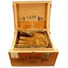 Trabucuri Leaf by Oscar Maduro Robusto 20