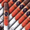 Trabucuri Rocky Patel Sixty Toro 20