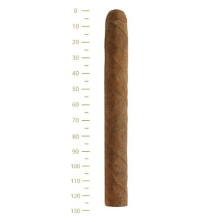 Tigari de foi RIO by RioTabak Corona Cigars (25)
