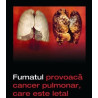 Tigari de foi RIO by RioTabak Corona Cigars (25)