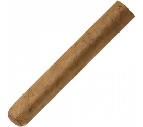 Trabucuri Machetero Robusto BD (10)