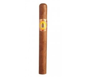 Trabucuri El Rey Del Mundo Demi Tasse 25