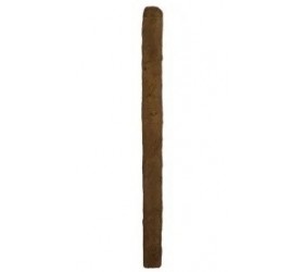 Tigari de foi Bentley White Mini Cigarillos (10)