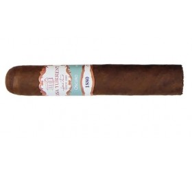 Trabucuri Casa Turrent 1880 Oscuro Short Robusto (10)