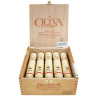 Trabucuri Oliva Serie O Robusto Tubo 10