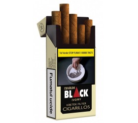 Tigari de foi Djarum Black Ivory Filter Cigarillos (100)