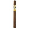 Trabucuri Cohiba Panetelas 25