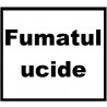 Mini narghilea electronica de unica folosinta AK by Senator Tobacco (700 pufuri) 20 mg