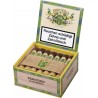 Trabucuri Parcero Brasil Robusto 20