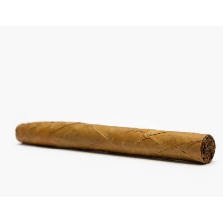 Trabucuri Cubanos Senoritas Natural 50