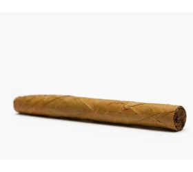 Tigari de foi Cubanos Senoritas Natural (10)