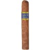 Trabucuri Sabor Sumatra Signature Blue Robusto (20)