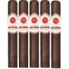 Trabucuri Rocky Patel Sun Grown Maduro Toro (5)