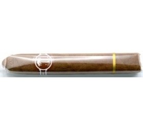 Trabucuri El Guajiro Palmeros (25)