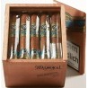 Trabucuri Balmoral Puro Nicaragua Petit Robusto (20)