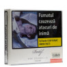 Tigari de foi Davidoff Mini Silver (20)