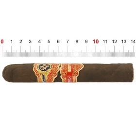 Trabuc Rocky Patel Sixty Robusto (1)
