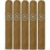 Trabucuri Joya de Nicaragua Clasico Robusto (5)