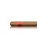 Trabucuri Partagas Serie D No 5 (25)