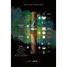 Trabucuri Davidoff Escurio Robusto Tubos Pack 20